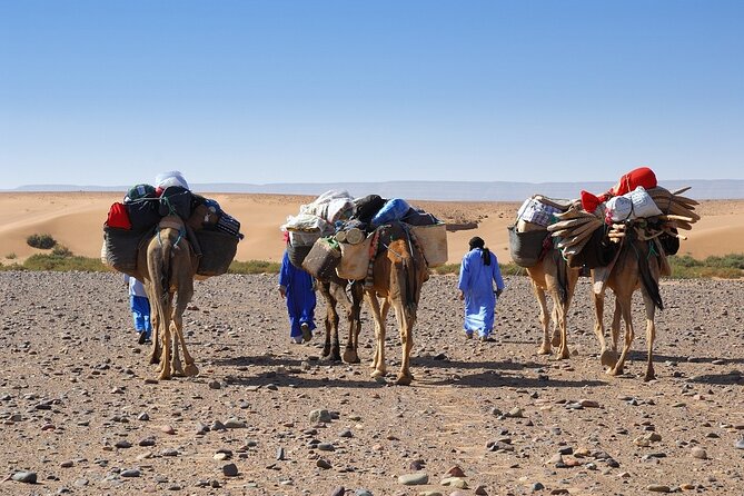 2-Day Zagora Desert Tour From Marrakech to Mhamid Dunes Camel (All-Inclusive) - The Sum Up