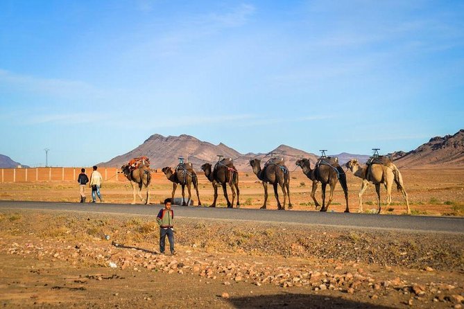 2 Day Zagora Desert Tour From Marrakech With Guide - Additional Information for Travelers