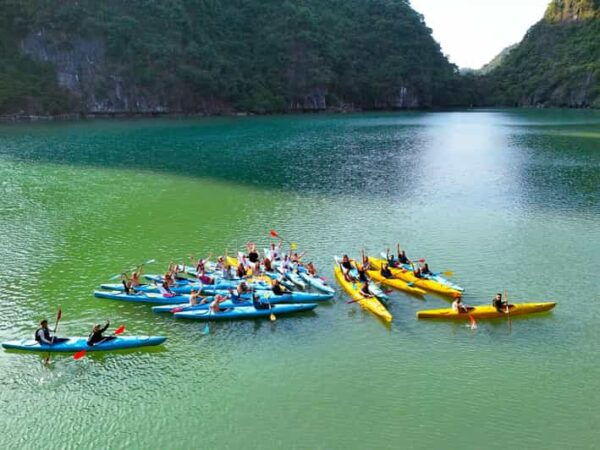 2 Days 1 Night Adventure: Cat Ba National Park, Lan Ha Bay - Customer Experiences and Feedback