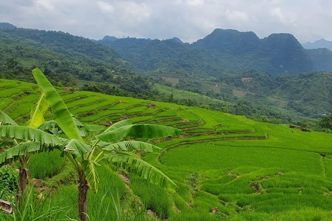 2 Days 1 Night - Best Trekking Tour at Pu Luong Nature Reserve - Best Price - Cancellation Policy