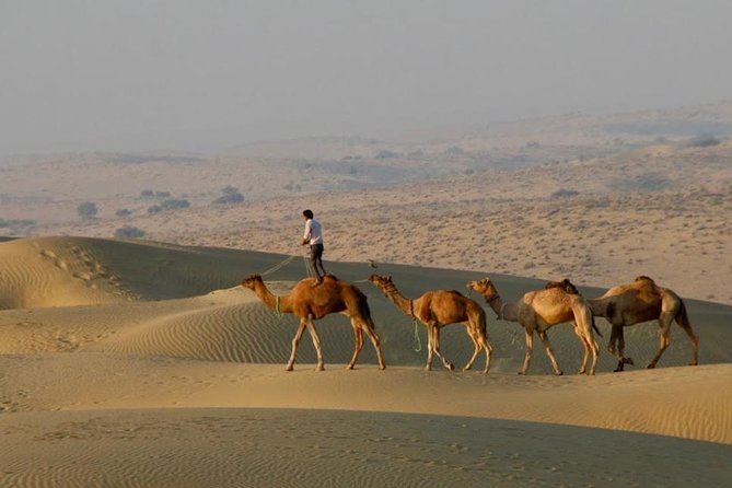 2 Days-1 Night Camel Tour - Good To Know