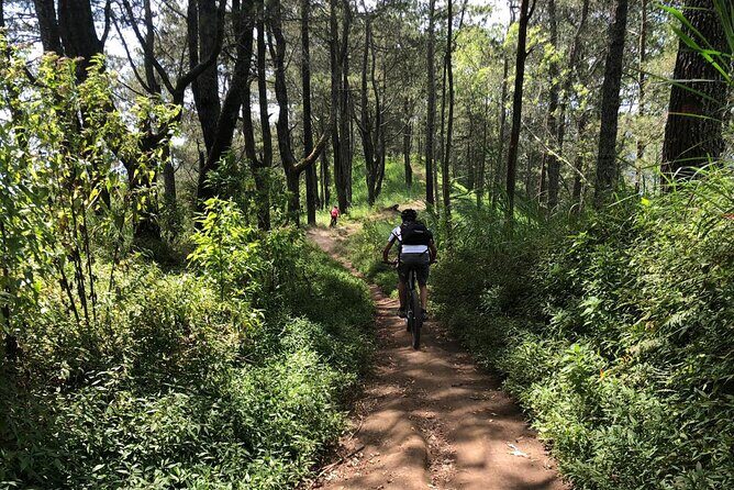2 Days 1 Night Hike and Bike Mount Batur - An Honest Look at the 2 Days 1 Night Hike and Bike Mount Batur Tour