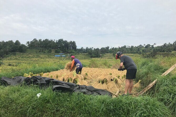 2 Days 1 Night Hike and Bike Mount Batur - Who Is This Tour Best For?