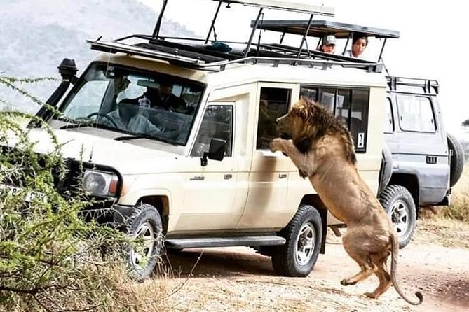 2 Days / 1 Night Join Group Safari - Itinerary Details