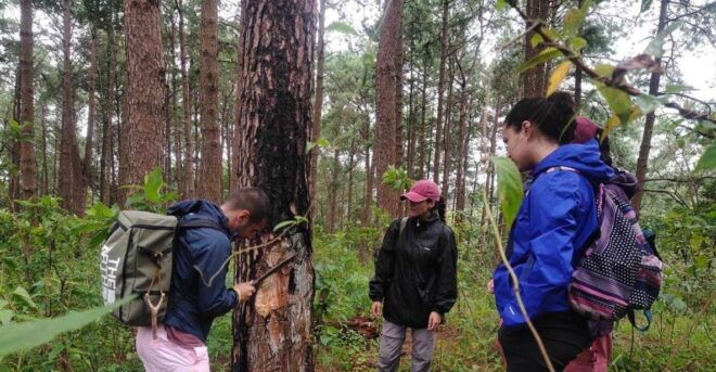 2 Days 1 Night Non Tourist Trek - Itinerary Overview