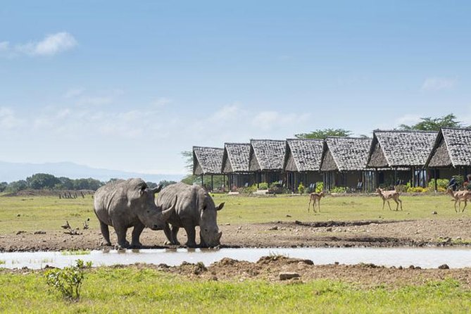 2 Days 1 Night Ol Pajeta Conservancy Tour - Good To Know