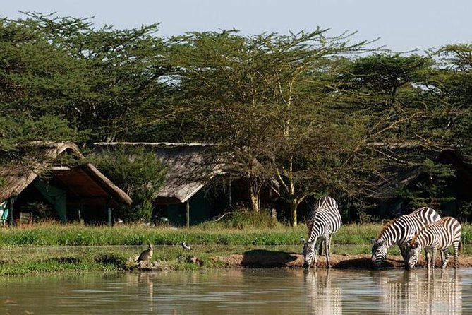 2 Days 1 Night Ol Pajeta Conservancy Tour - Customer Reviews