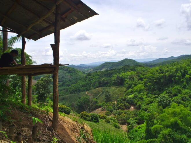 2 Days 1 Night Private Eco-Trekking Akha & Lahu Chiang Rai - Unique Highlights