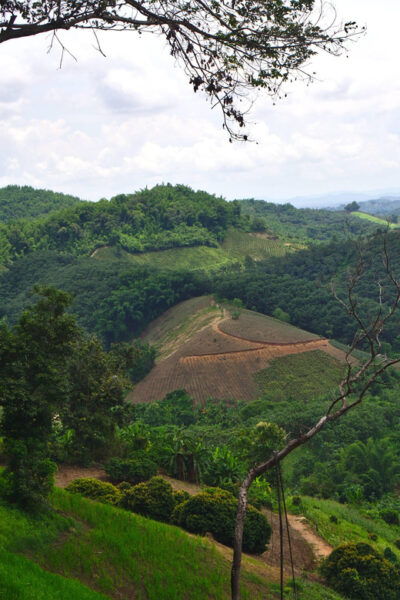2 Days 1 Night Private Eco-Trekking Akha & Lahu Chiang Rai - Booking Information