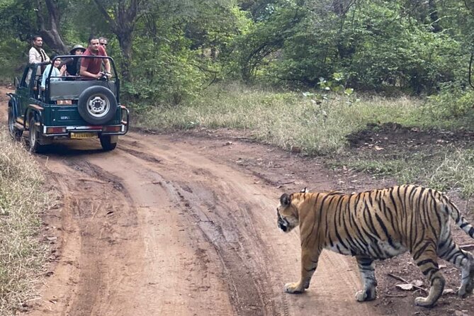 2 Days, 1 Night, Private Jaipur to Ranthambore Guided Tour - Tour Overview