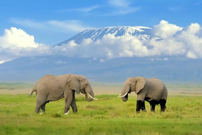 2 Days 1 Night Private Tour to Amboseli National Park With Pickup - Tour Inclusions