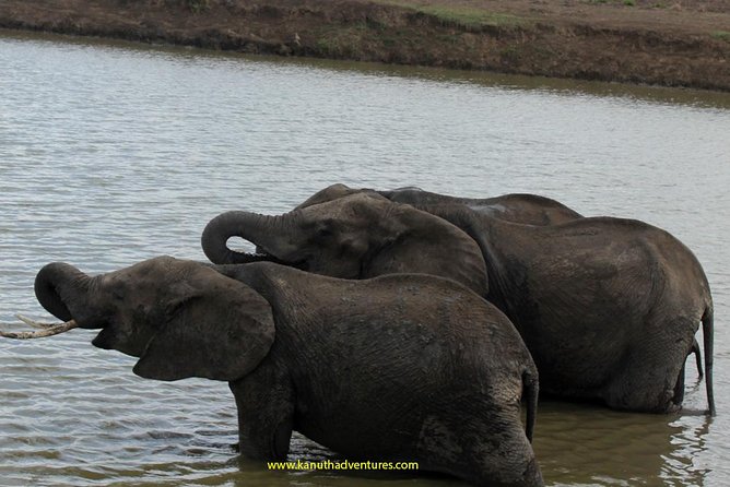 2 Days /1 Night Safari to Mikumi - Itinerary Overview