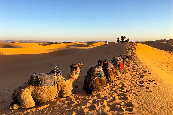 2 Days/1 Night Sahara Desert Trip: Fes - Merzouga - Marrakech - Good To Know