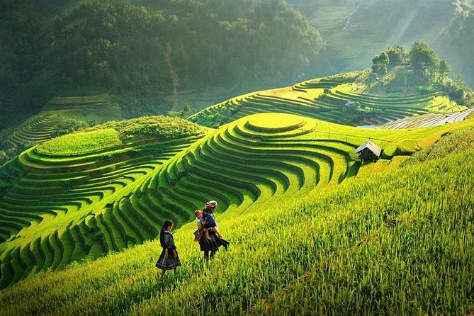 2 Days 1 Night Sapa Tour From Hanoi by Limousine - The Sum Up
