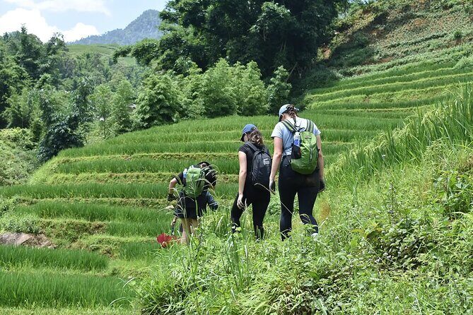 2 days 1 night Sapa Trekking Group Tour at Homestay - Practical Details and What Travelers Should Know
