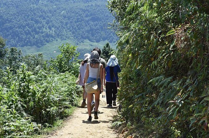 2 days 1 night Sapa Trekking Group Tour at Homestay - Authentic Insights from Past Travelers