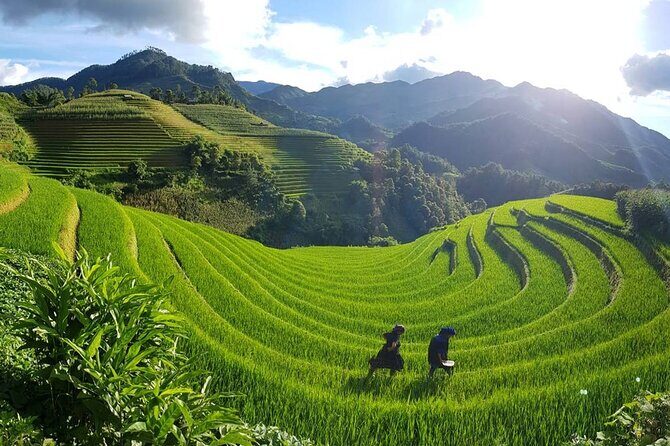 2 Days 1 Night Sapa Trekking Group Tour at Homestay - Who Is This Tour Best For?
