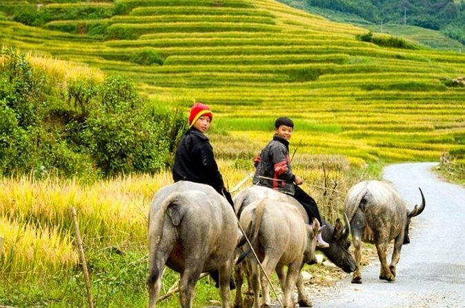 2 Days 1 Night Sapa Trekking Group Tour at Homestay - FAQ