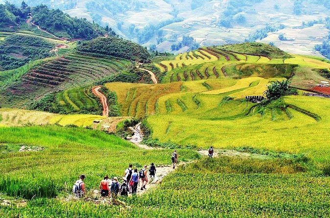 2 Days 1 Night Sapa Trekking Homestay from Sapa - Final Thoughts: Who Is This Tour Best For?