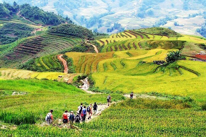 2 Days 1 Night Sapa Trekking Homestay from Sapa - The Value Proposition  