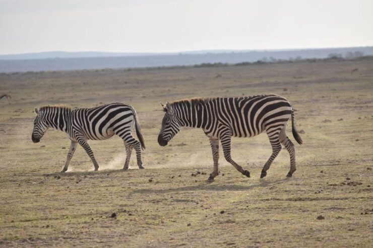 2 Days 1 Night Taita Hills - Good To Know