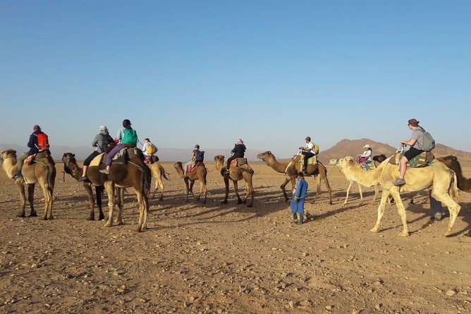 2 Days 1 Night To Zagora Desert From Marrakech - Opportunities to Visit Historical Cities