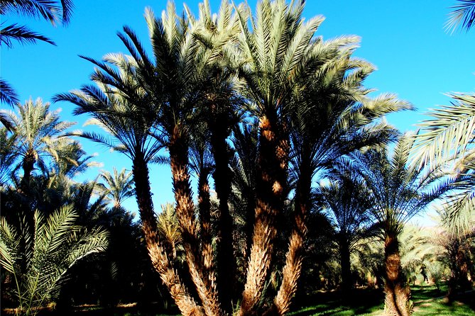 2 Days 1 Night To Zagora Desert From Marrakech: Private Trip - Pricing and Booking Information