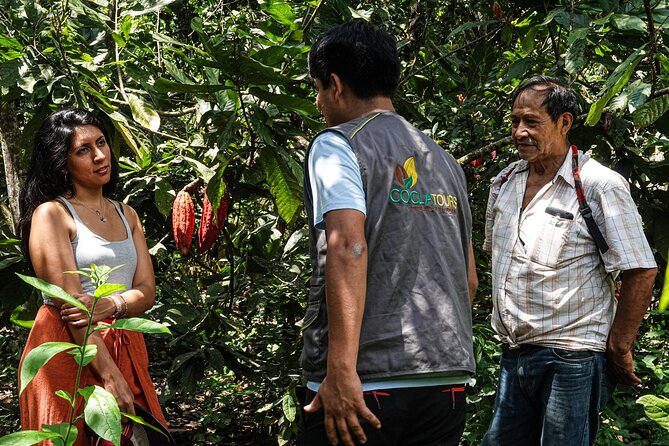 2 Days/1 Night Tour: Be Immersed in a Cocoa Farm in the Jungle of Cusco - Day 1: Experiencing Cocoa Farm Activities