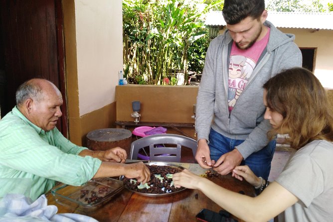 2 Days/1 Night Tour: Be Immersed in a Cocoa Farm in the Jungle of Cusco - Day 1: Evening Activities and Accommodation