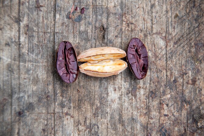2 Days/1 Night Tour: Be Immersed in a Cocoa Farm in the Jungle of Cusco - Day 2: Return to Cusco and The Sum Up