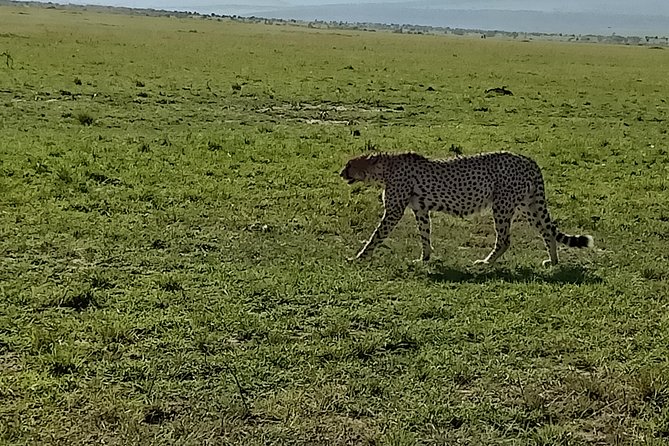 2 Days / 1 Night - Tsavo Explorer Safari - Pricing Information
