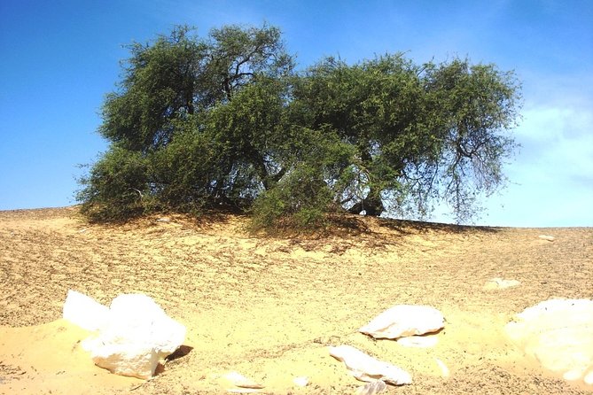 2 Days 1 Night White Desert From Cairo ( Private ) - Itinerary