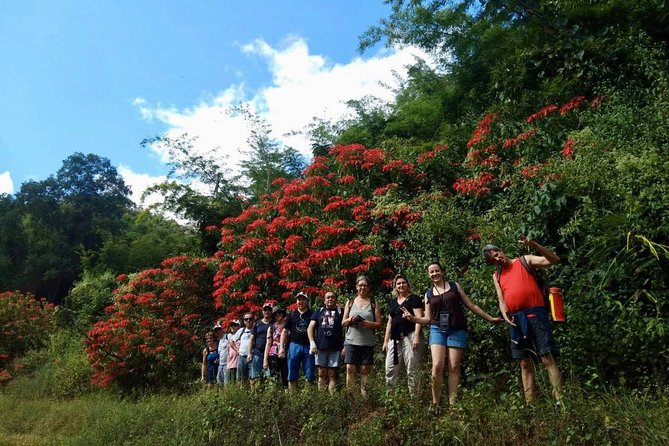 2 DAYS 1NIGHT Join Jungle Trek in Huay Nam Dung National Park - Meeting and Pickup