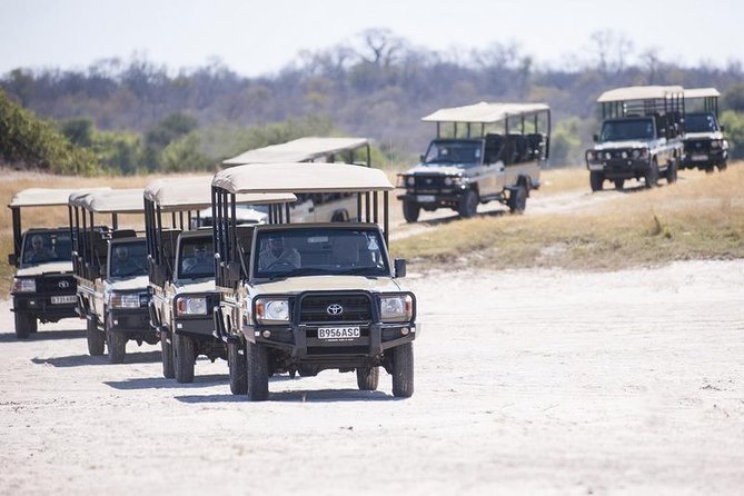 2 Days 2 Nights Camping Safari in Chobe National Park - Camping Accommodations Details