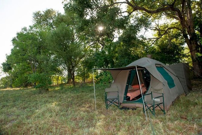 2 Days 2 Nights Camping Safari in Chobe National Park - Wildlife Encounters Experience