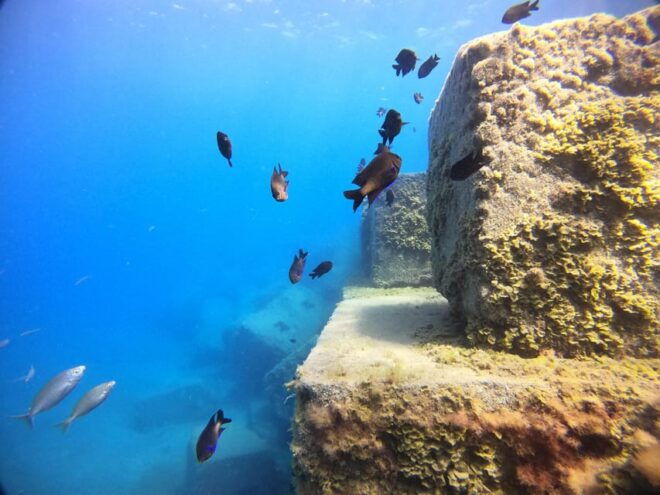 2 DAYS - 3 DIVES - Included Services