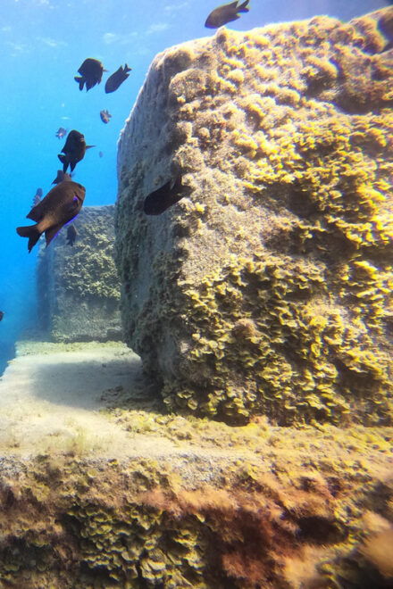 2 DAYS - 3 DIVES - What to Bring