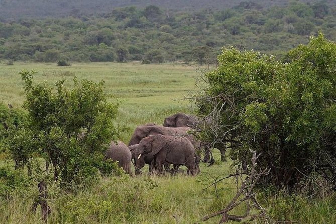 2 Days Akagera National Park Safari - Inclusions and Exclusions