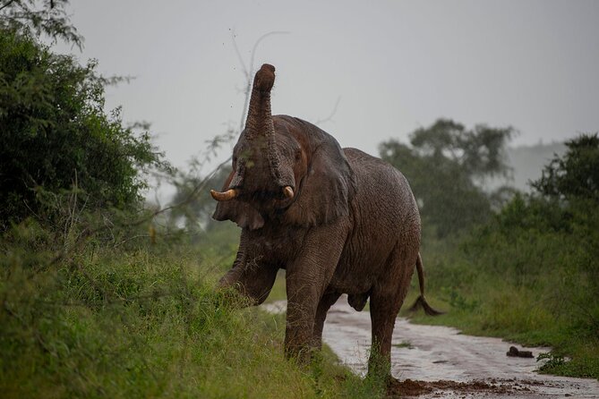 2 Days Akagera National Park Safari - Price and Cancellation Policy