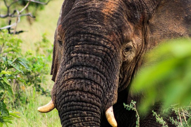 2 Days Akagera National Park Safari - Frequently Asked Questions