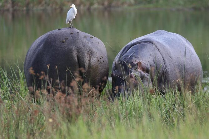 2 Days Akagera National Park Safari - The Sum Up