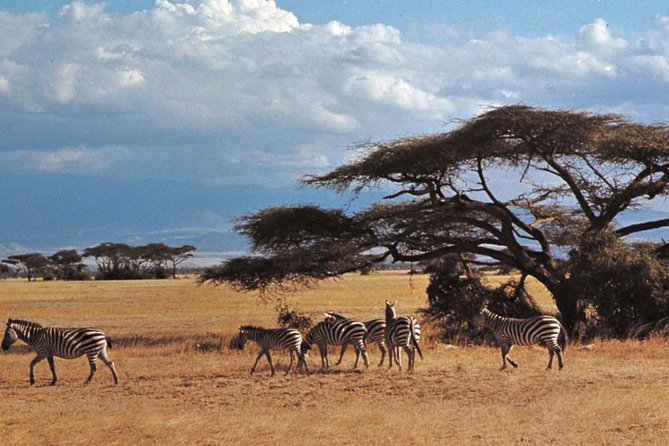 2 Days Amboseli Jeep Luxury Safari (Cost Based on Min 2 Persons) - Accommodation Details