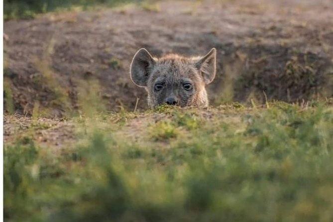 2 Days Amboseli National Park Overnight Tour - Additional Costs