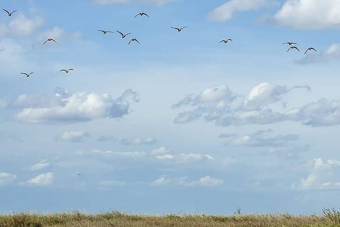 2 Days Amboseli National Park Overnight Tour - Meeting and Pickup Details