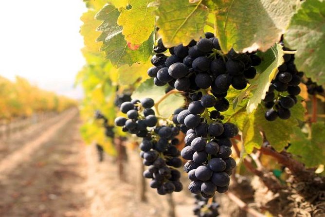 2 Days: an Interesting Tour Old Orhei&Cricova &Transnistria - Cricova Winery Tasting Experience