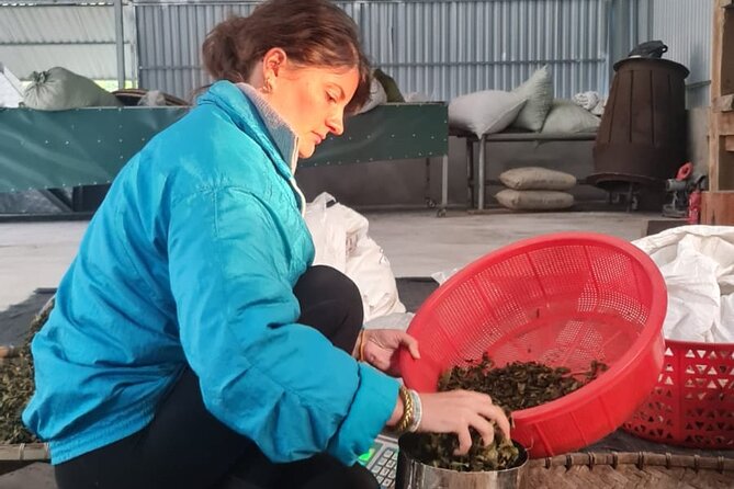 2 Days Ancient Tea Tour and Real Homestay West of Ha Giang - Tea Tasting Sessions