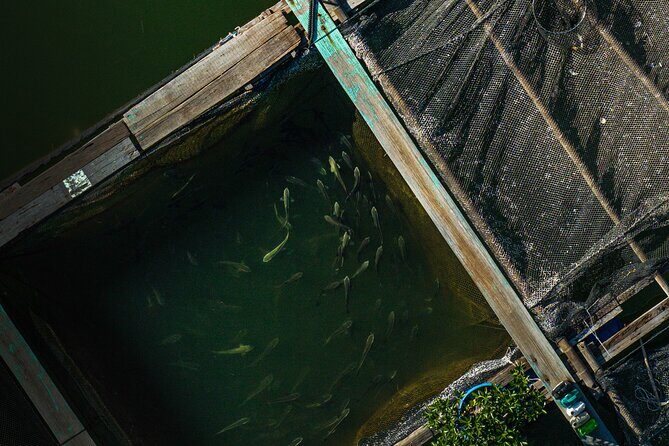 2 Days and 1 Night Bhaya Halong Serene Horizons Cruise - The Experience of a Lifetime — But with Practical Considerations