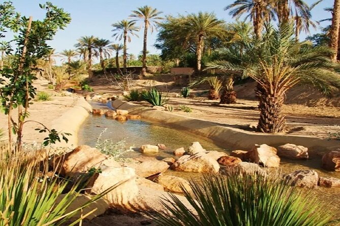 2 Days and 1 Night Excursion to Ksar Ghilane Under the Tent - Duration: 2 Days, 1 Night