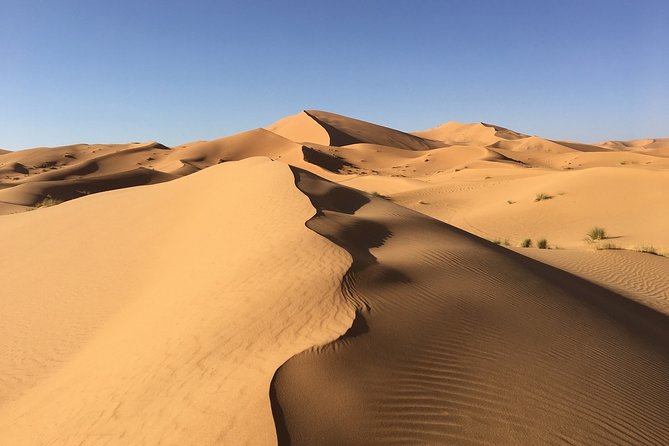 2 Days and 1 Night Luxury Desert Tour From Marrakech to Zagora - Cancellation and Changes