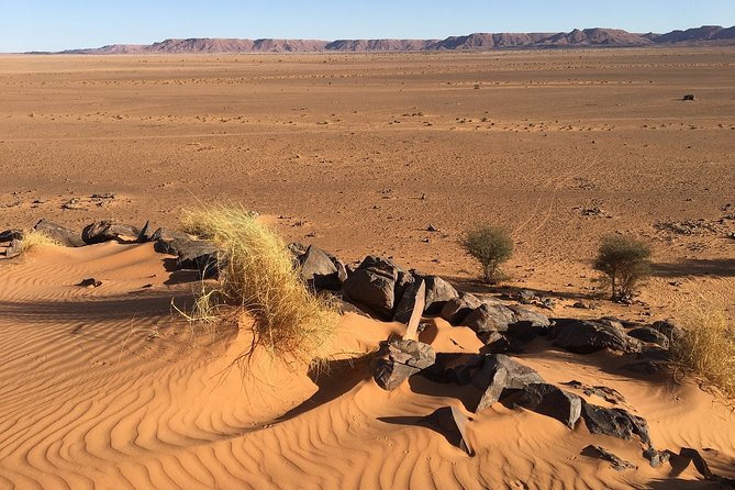 2 Days and 1 Night Luxury Desert Tour From Marrakech to Zagora - Tour Operator and Terms